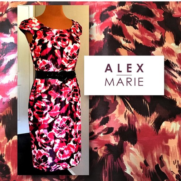 Alex Marie Dresses & Skirts - ALEX MARIE Pink & Black Floral Belted Dress  |  4